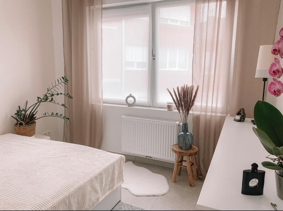 Vintage Dream Appartement Zwijndrecht Buitenkant foto