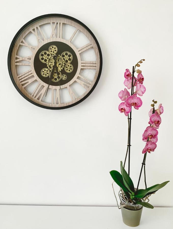 Vintage Dream Appartement Zwijndrecht Buitenkant foto