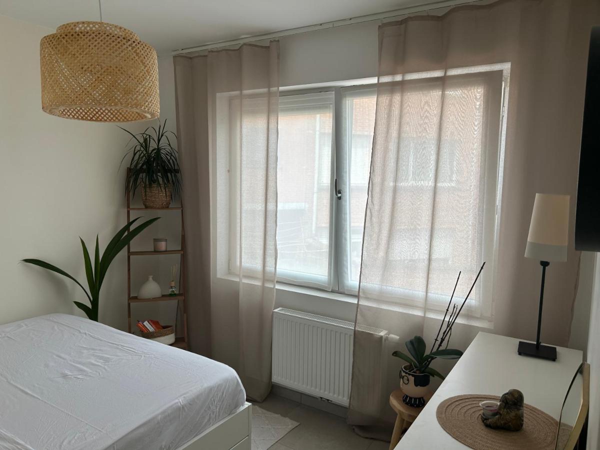 Vintage Dream Appartement Zwijndrecht Buitenkant foto