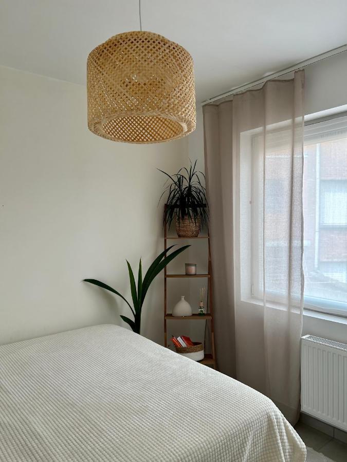 Vintage Dream Appartement Zwijndrecht Buitenkant foto